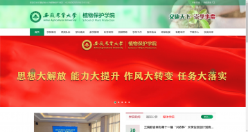 安徽農(nóng)業(yè)大學(xué)植物保護(hù)學(xué)院網(wǎng)站建設(shè)