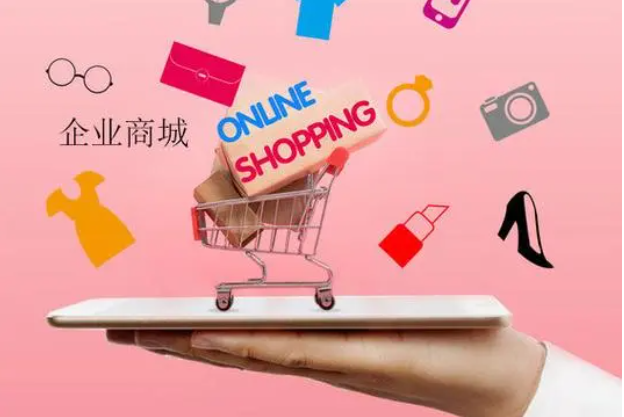 企業網店系統開發